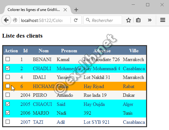 Colorer-lignes-GridView
